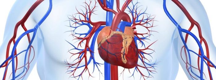 Что собой представляет функциональная кардиопатия