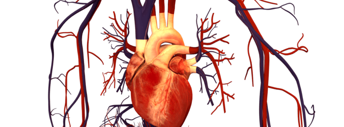 Развитие мелкоочагового инфаркта миокарда: причины, симптомы и лечение