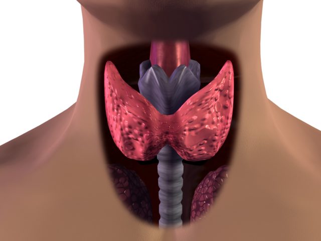 Щитовидная недостаточность